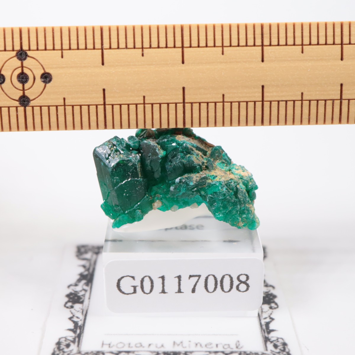 ���󥴻� �������ץơ���