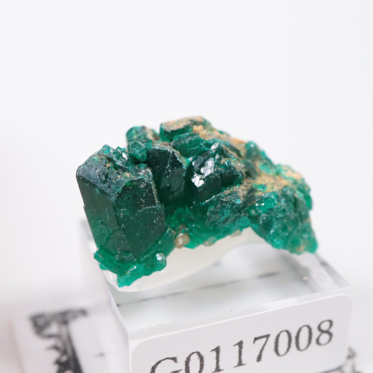 ���󥴻� �������ץơ���