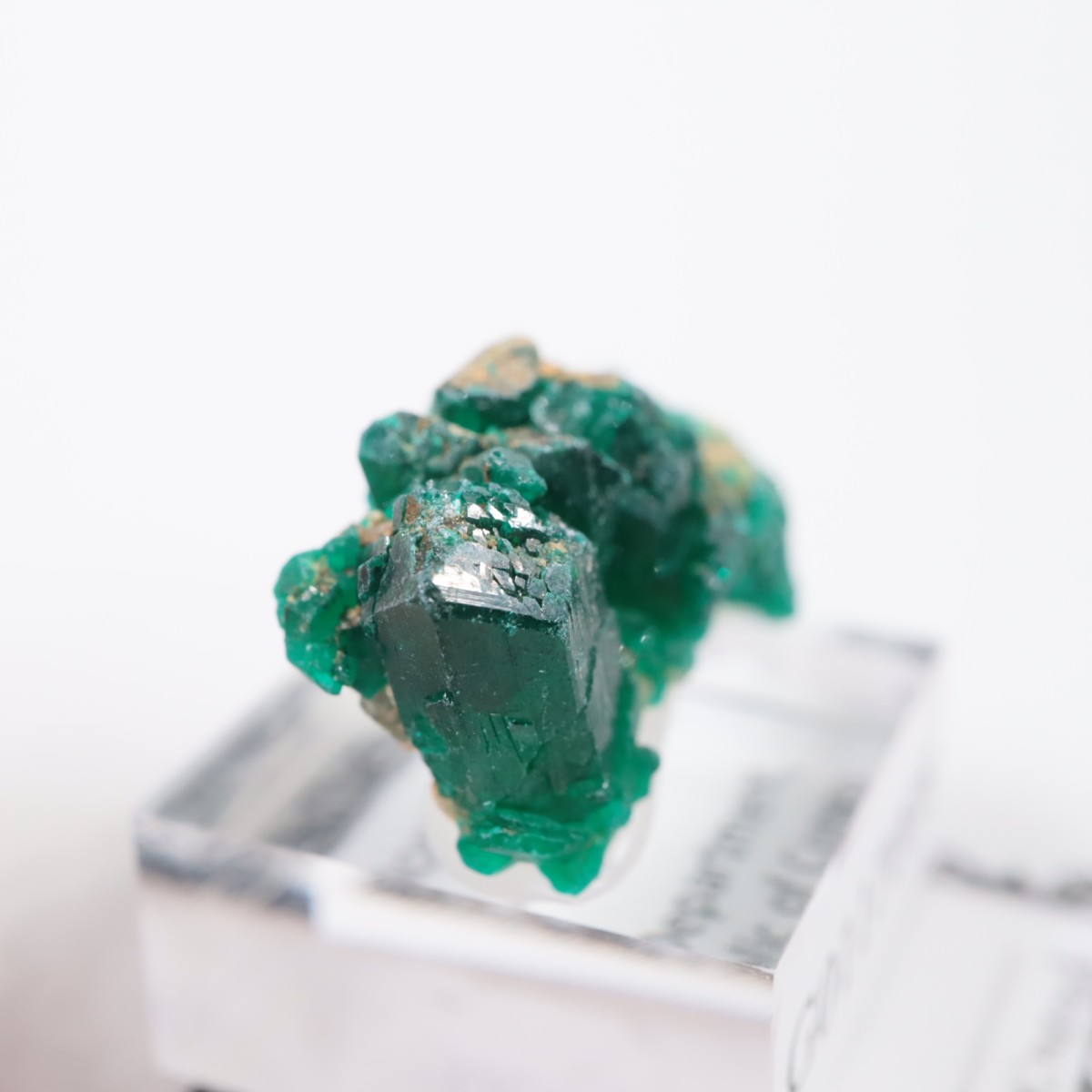 ���󥴻� �������ץơ���