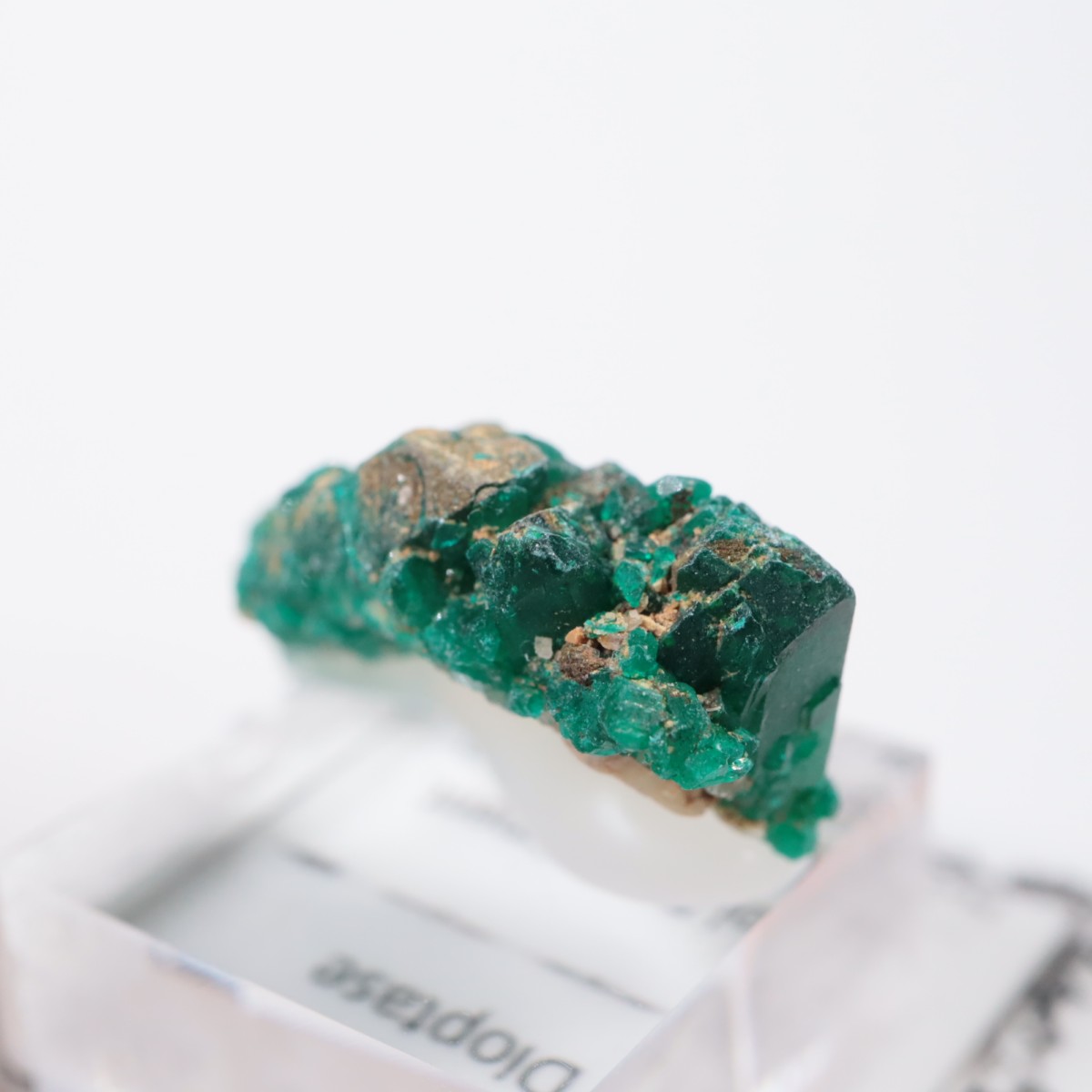 ���󥴻� �������ץơ���