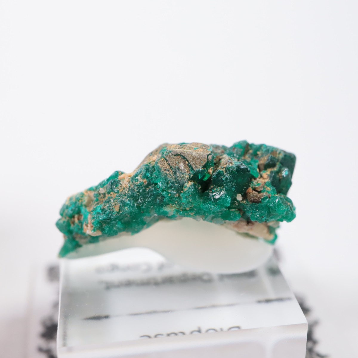 ���󥴻� �������ץơ���