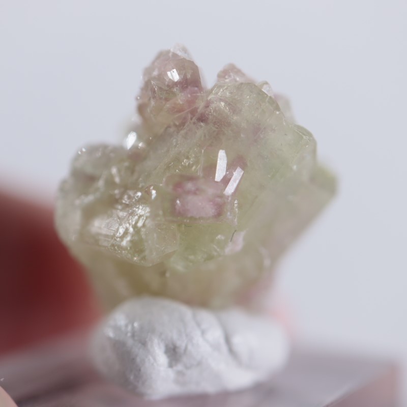 �����ե꡼�ۻ����٥��������ʥ��ȡ��٥�����