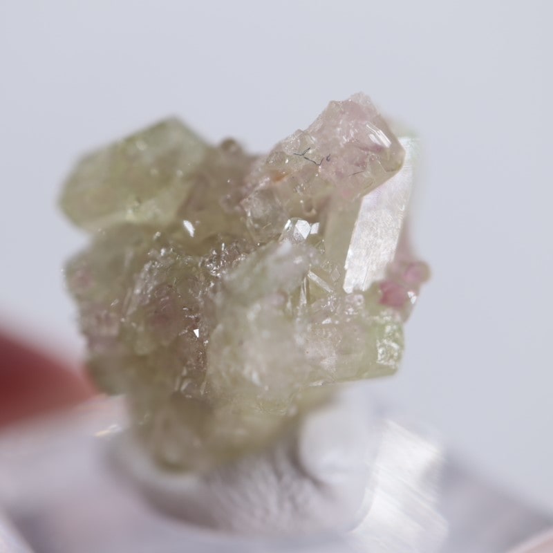 �����ե꡼�ۻ����٥��������ʥ��ȡ��٥�����