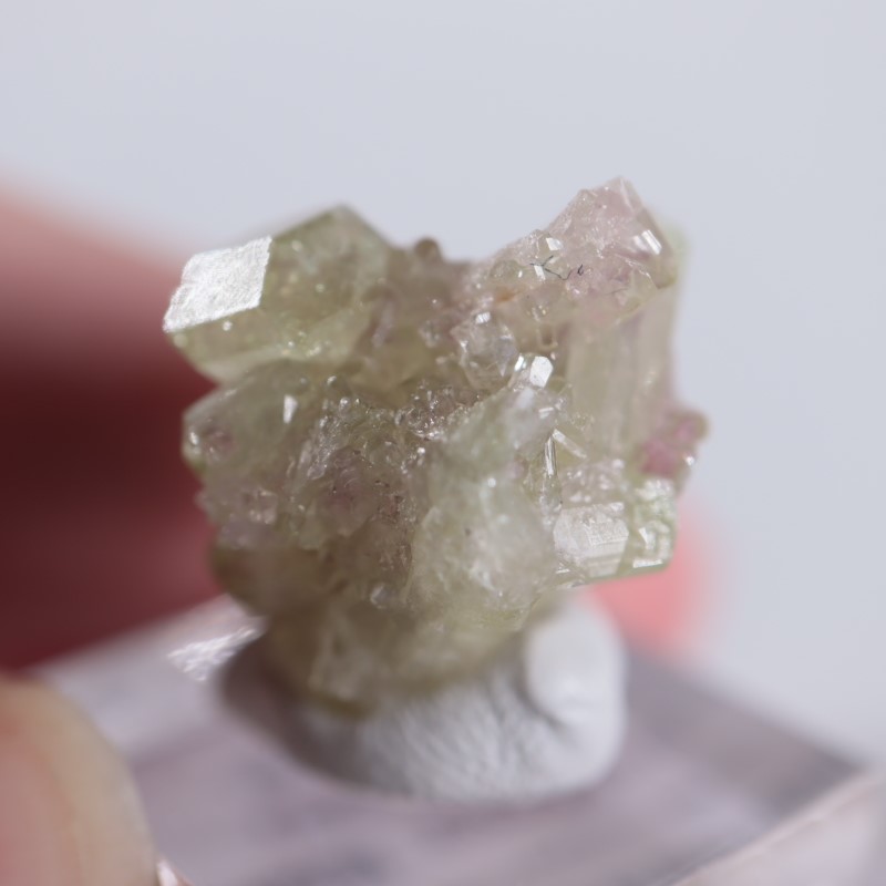 �����ե꡼�ۻ����٥��������ʥ��ȡ��٥�����