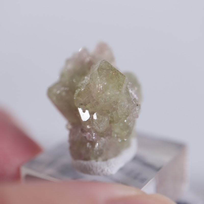 �����ե꡼�ۻ����٥��������ʥ��ȡ��٥�����