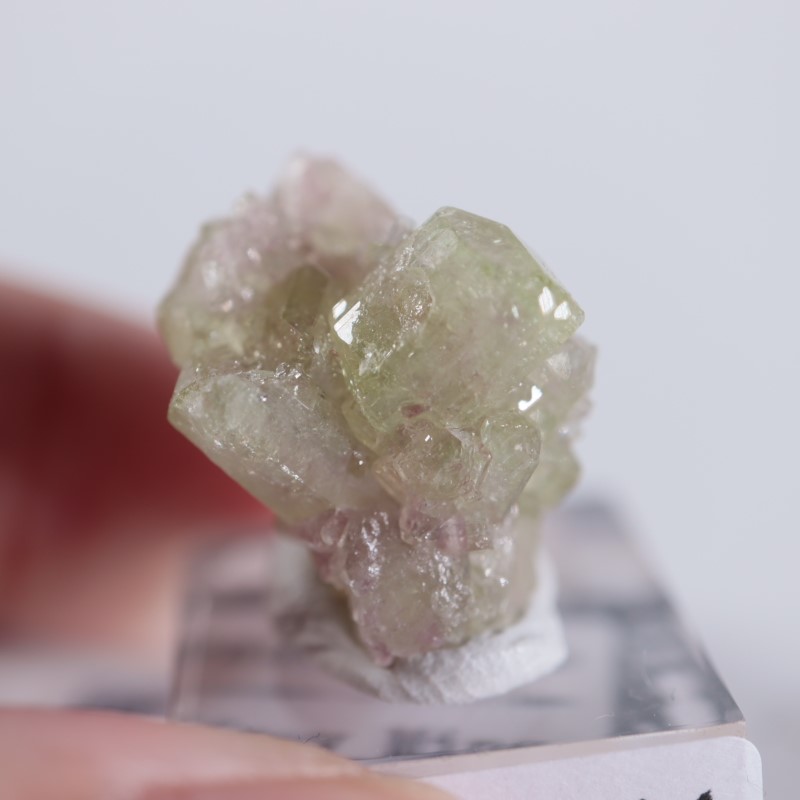 �����ե꡼�ۻ����٥��������ʥ��ȡ��٥�����