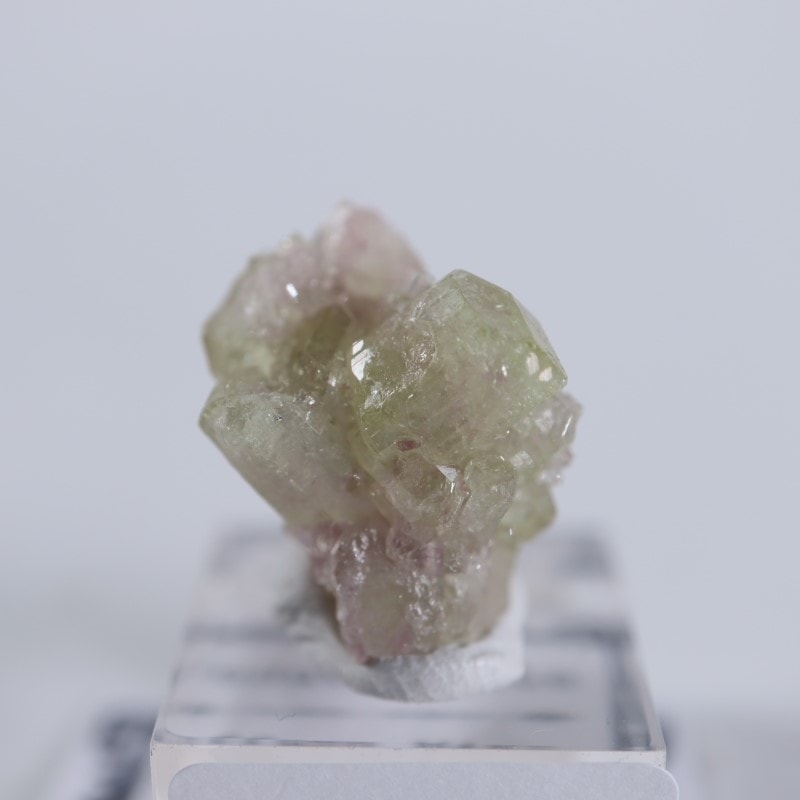 �����ե꡼�ۻ����٥��������ʥ��ȡ��٥�����