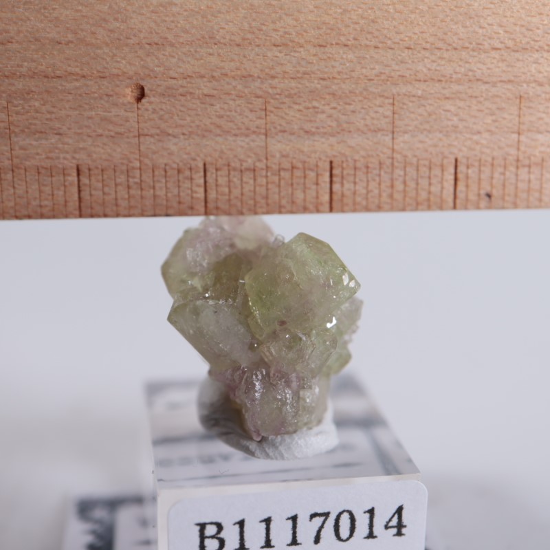 �����ե꡼�ۻ����٥��������ʥ��ȡ��٥�����