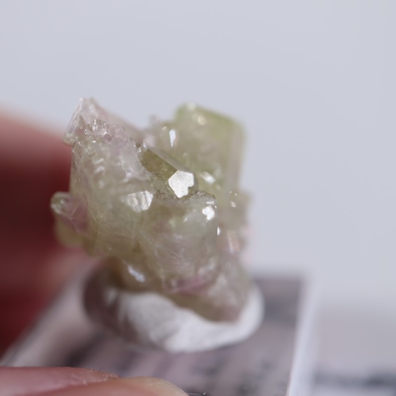 �����ե꡼�ۻ����٥��������ʥ��ȡ��٥�����