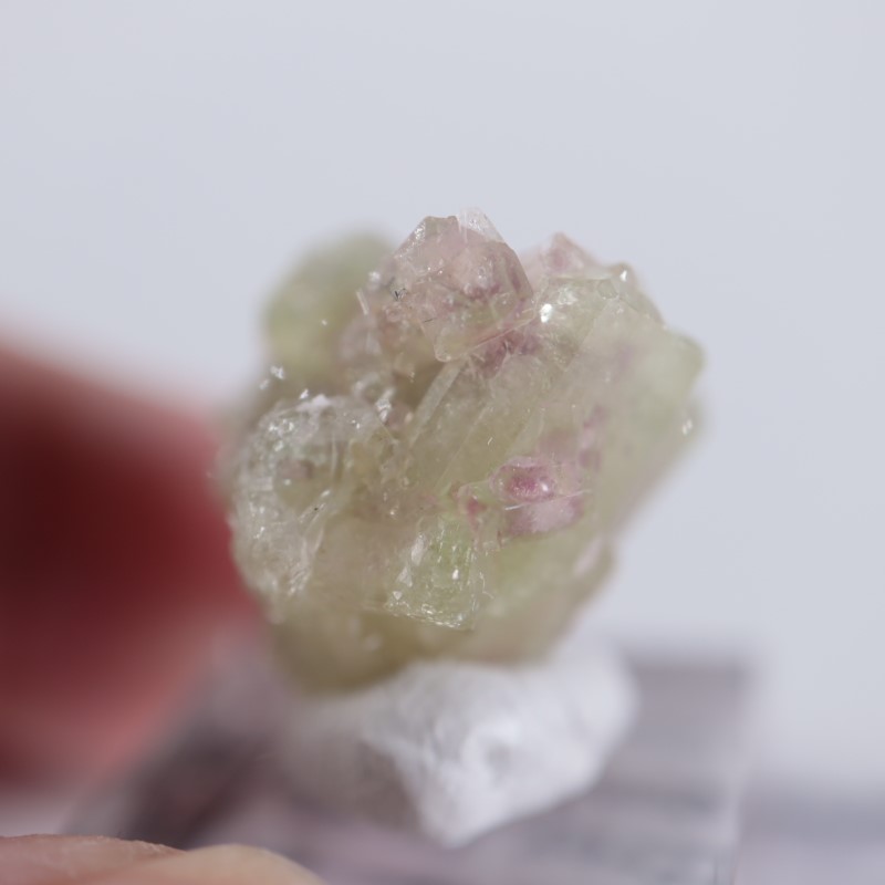 �����ե꡼�ۻ����٥��������ʥ��ȡ��٥�����