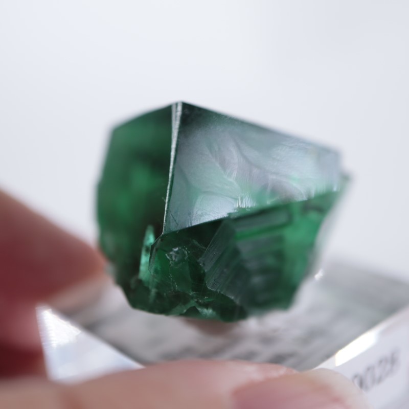 Diana Maria mine Smoky Rabbit Pocket 蛍石 Diana Maria Smoky