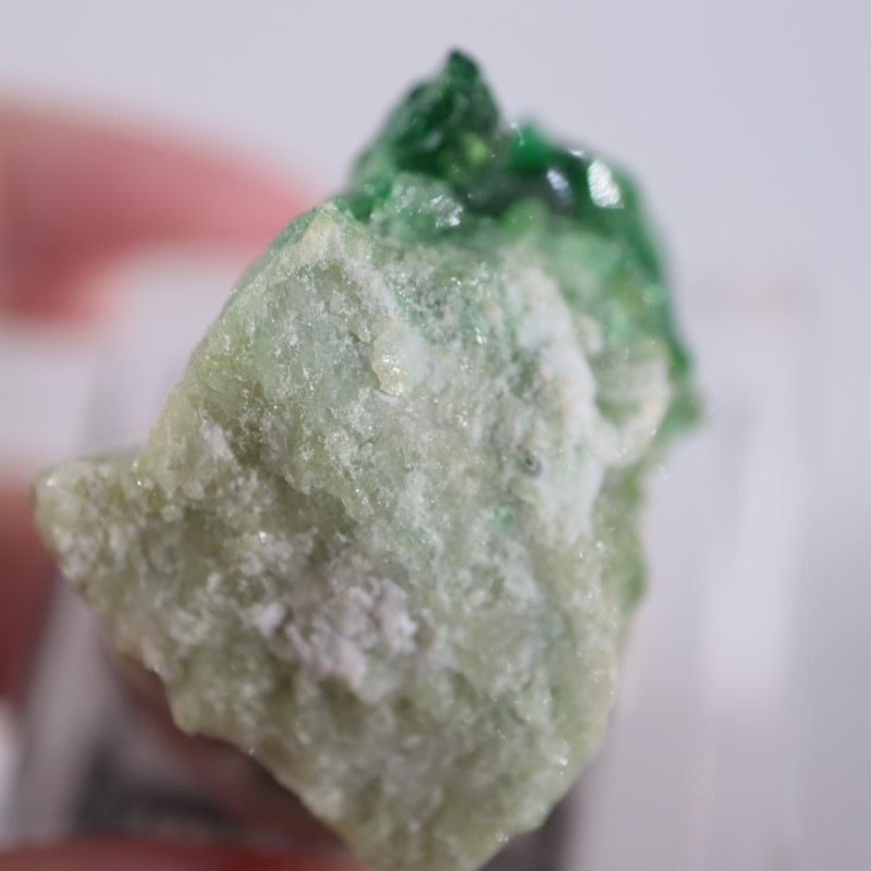 �����ե꡼�ۻ����٥�����