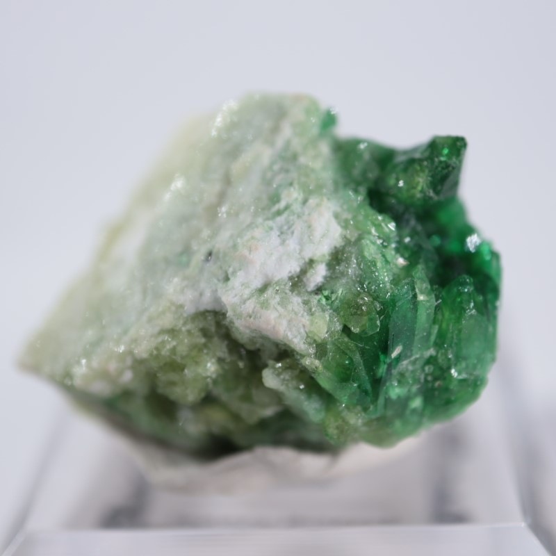 �����ե꡼�ۻ����٥�����