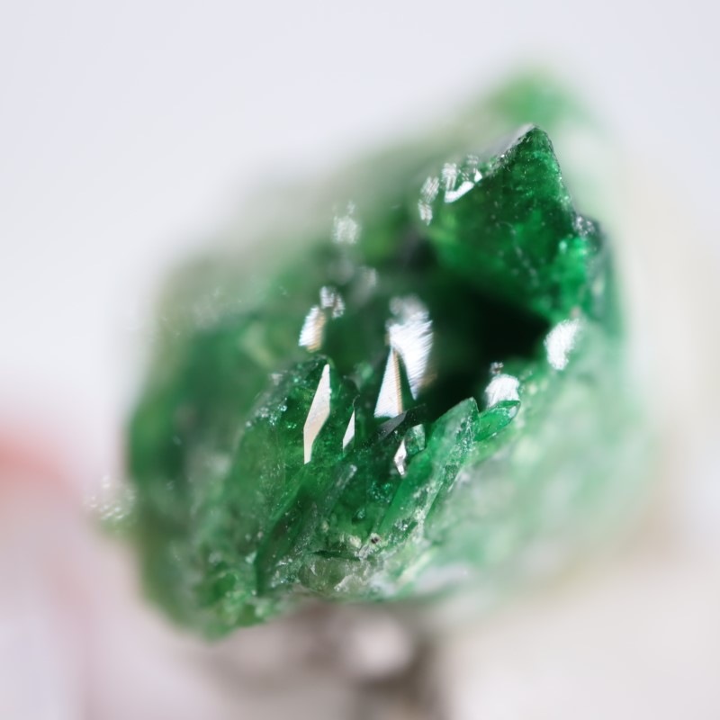 �����ե꡼�ۻ����٥�����