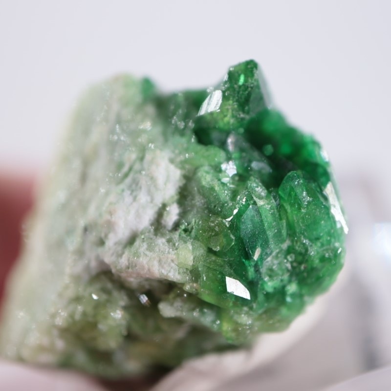 �����ե꡼�ۻ����٥�����