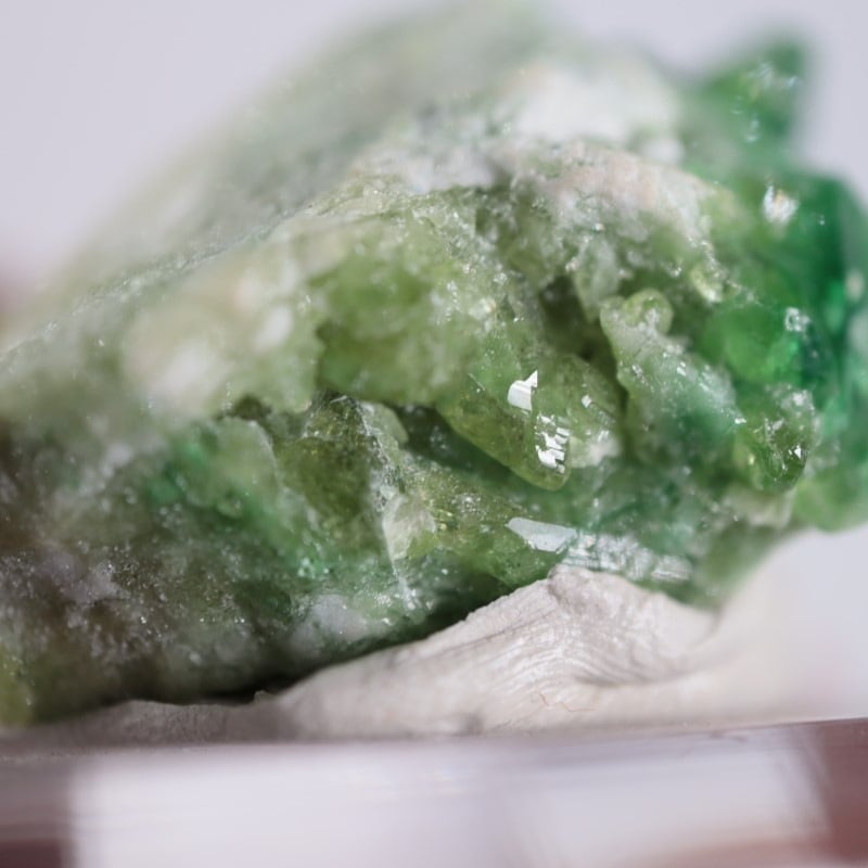 �����ե꡼�ۻ����٥�����