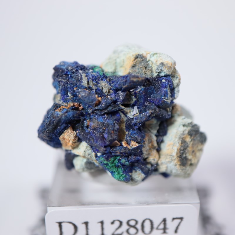 ����å����������饤��