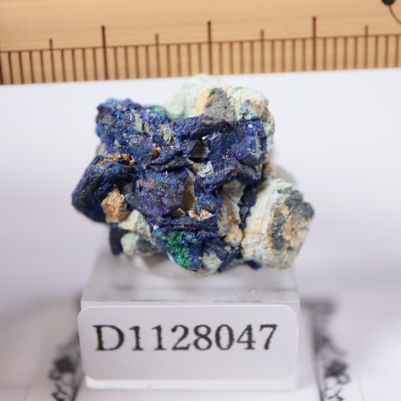 ����å����������饤��