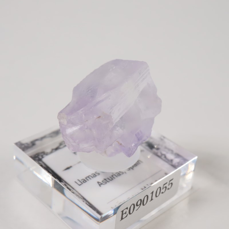 ���ڥ��� �ե����饤��