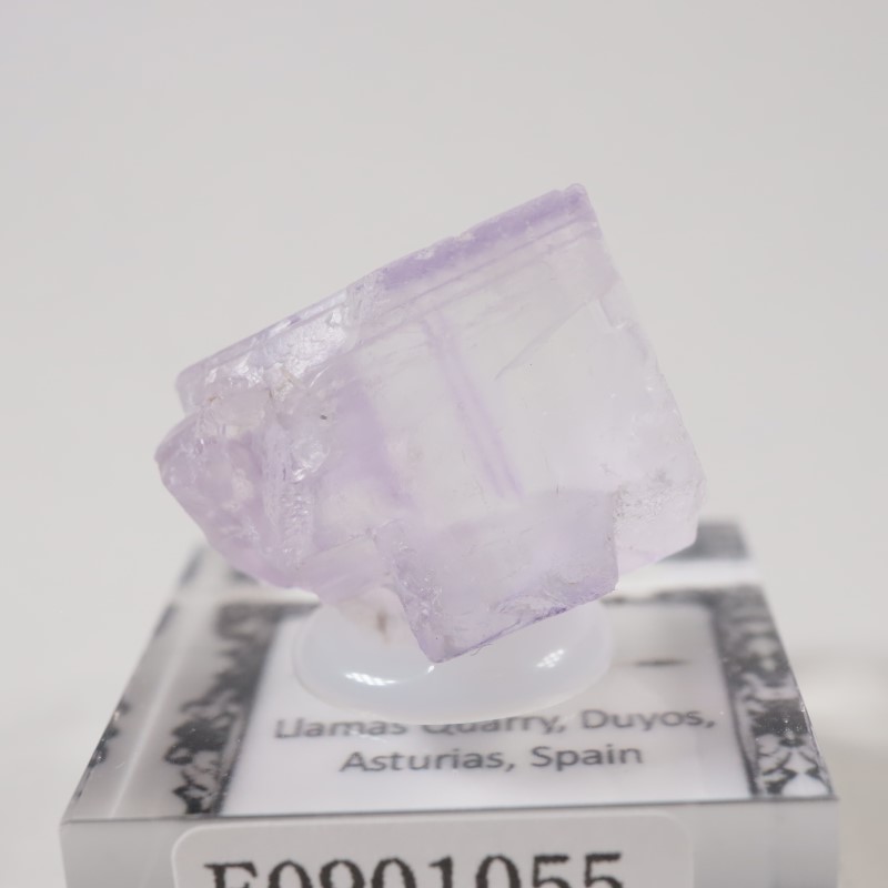 ���ڥ��� �ե����饤��