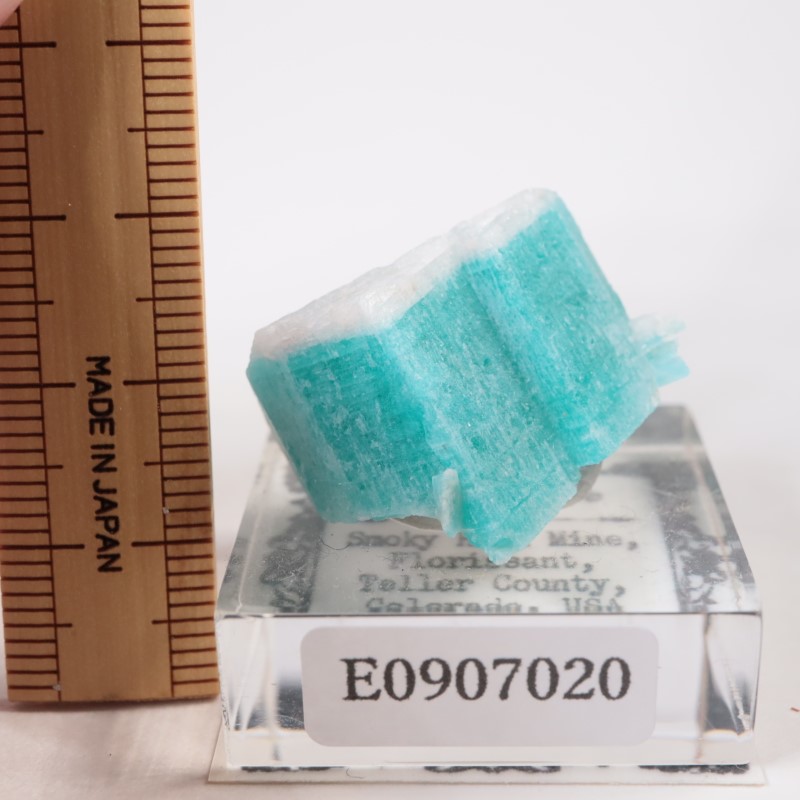 ������ɽ��� ���ޥ��ʥ���