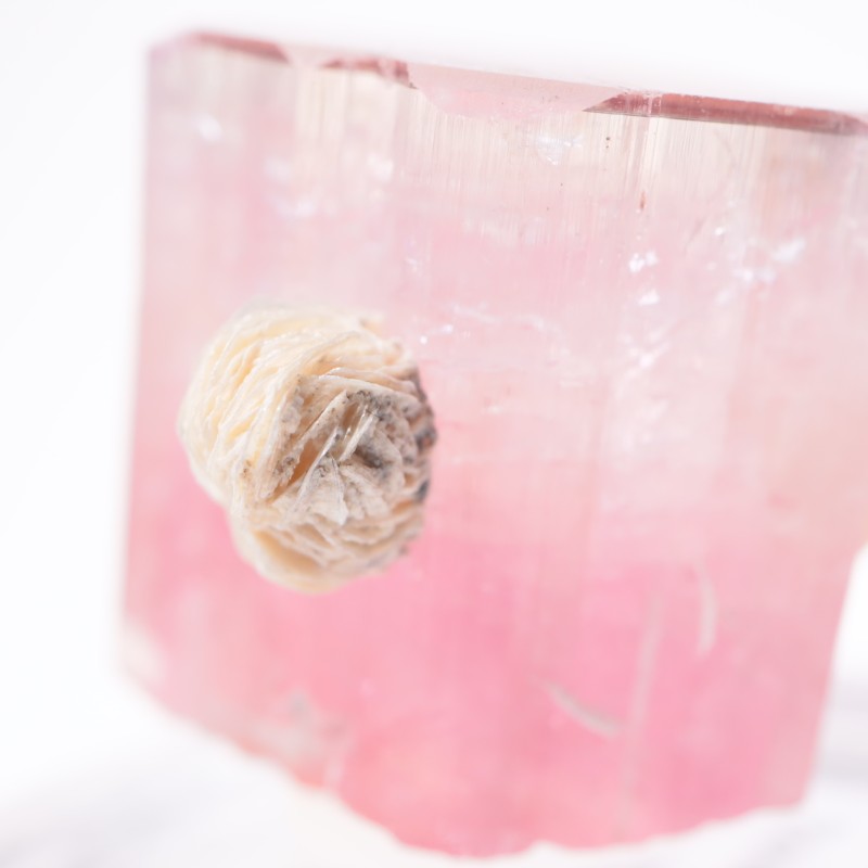 ����å��� �ȥ�ޥ��