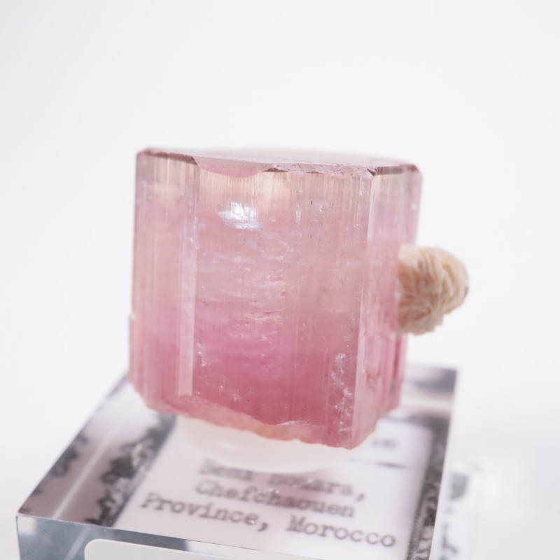 ����å��� �ȥ�ޥ��