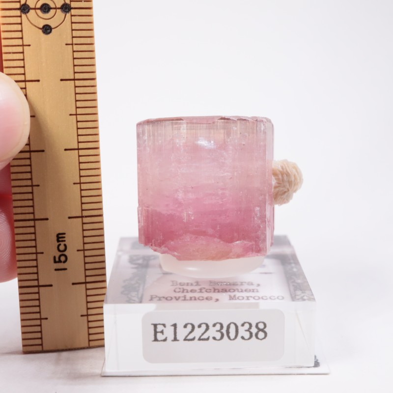 ����å��� �ȥ�ޥ��