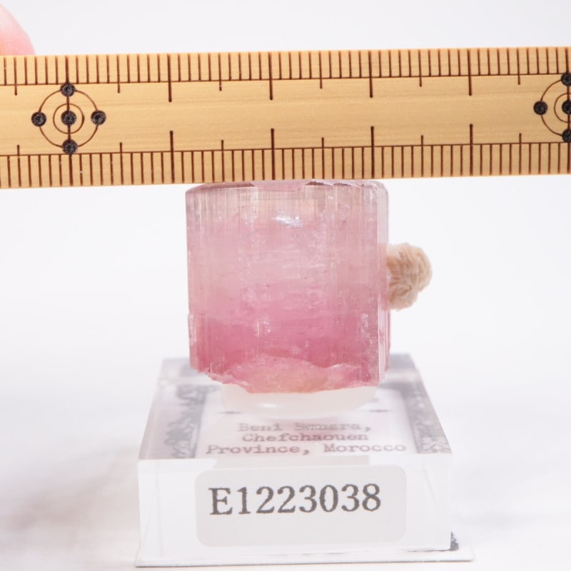 ����å��� �ȥ�ޥ��