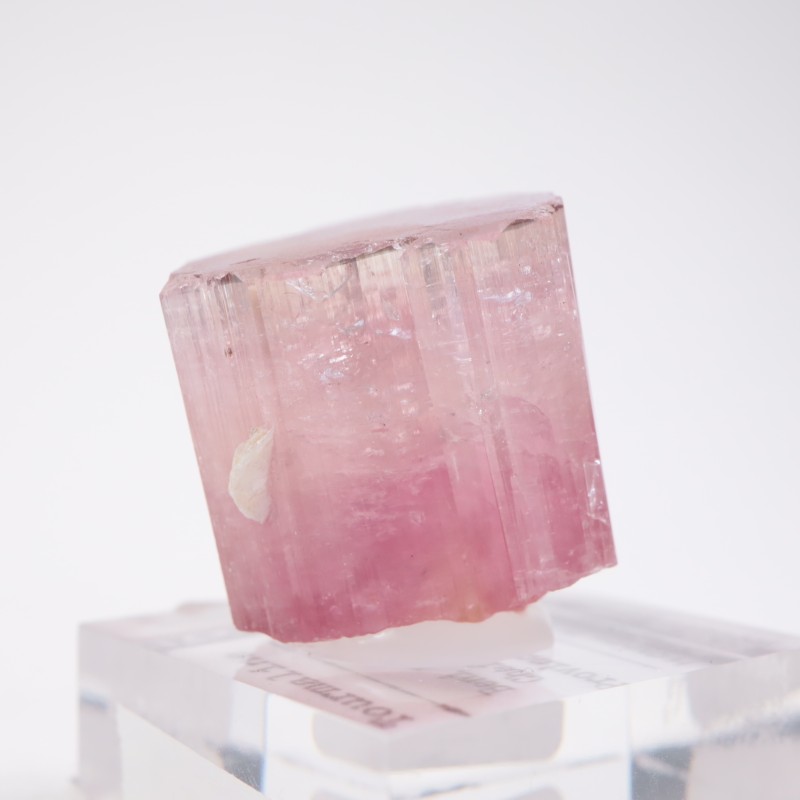 ����å��� �ȥ�ޥ��