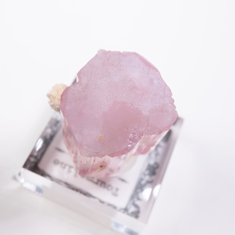 ����å��� �ȥ�ޥ��