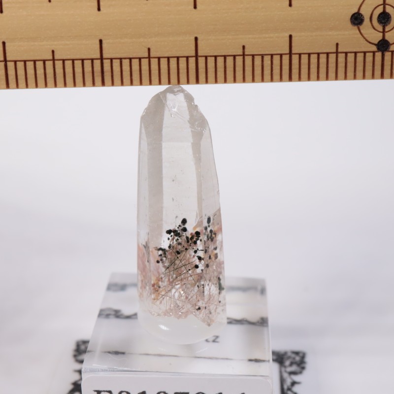 ベトナム産 水晶 | 鉱物標本,カ行,クォーツ/水晶 | ほたるみねらる