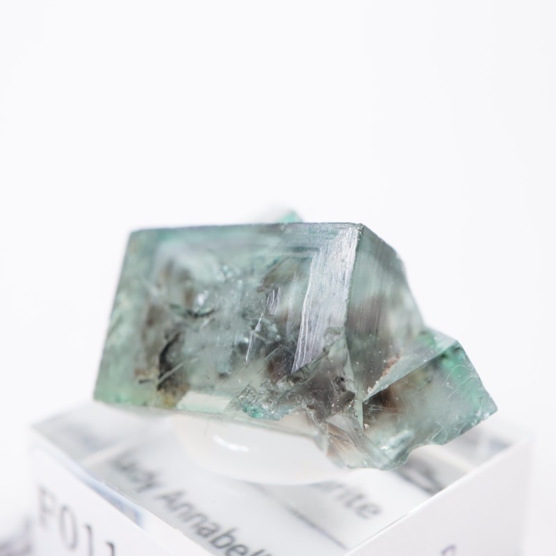 ��ǥ����ʥ٥�ۻ��� �ե����饤��