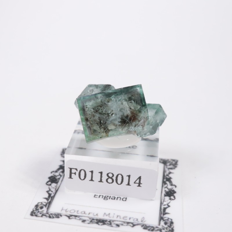 ��ǥ����ʥ٥�ۻ��� �ե����饤��