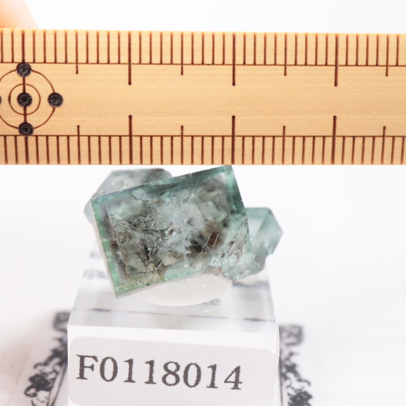 ��ǥ����ʥ٥�ۻ��� �ե����饤��