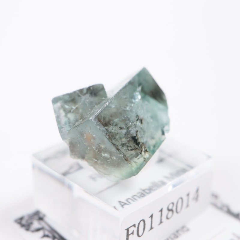 ��ǥ����ʥ٥�ۻ��� �ե����饤��