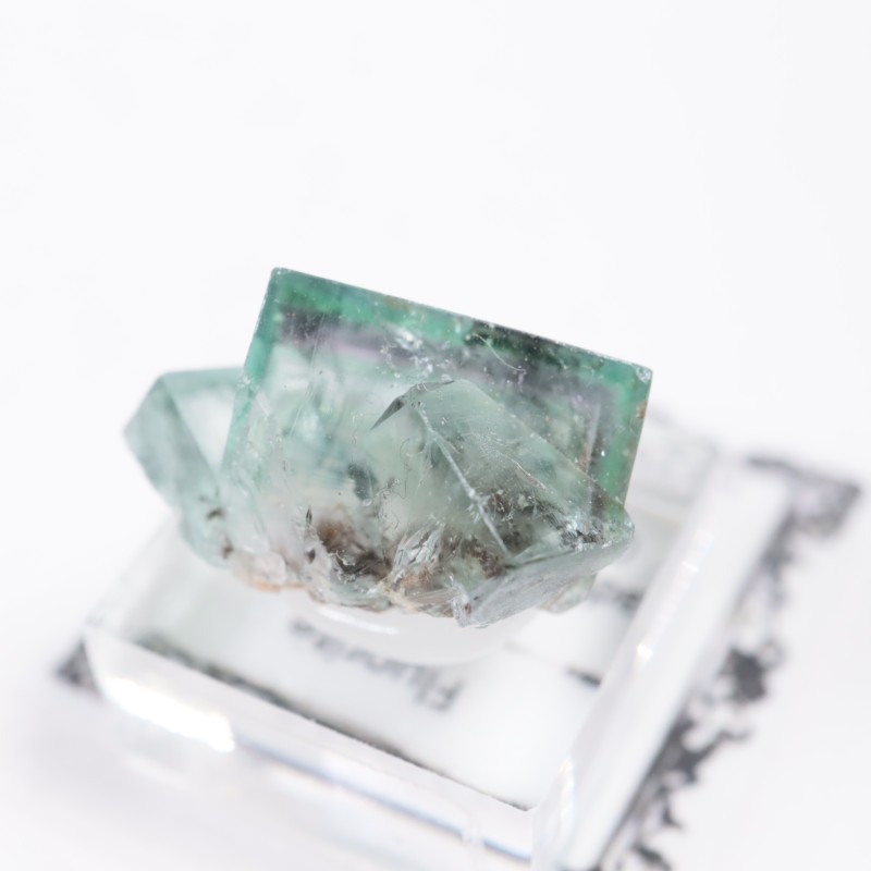 ��ǥ����ʥ٥�ۻ��� �ե����饤��