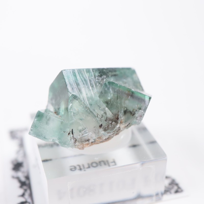 ��ǥ����ʥ٥�ۻ��� �ե����饤��