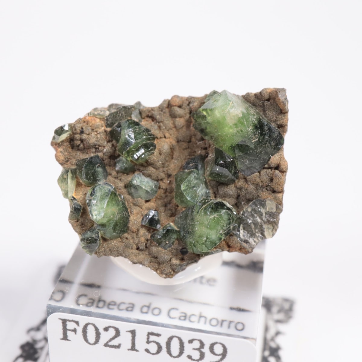 希少鉱物ラドラマイト　(Ludlamite) ラドラマイト【Ludlamite】アメリカ産 | PEANUTS MINERALS