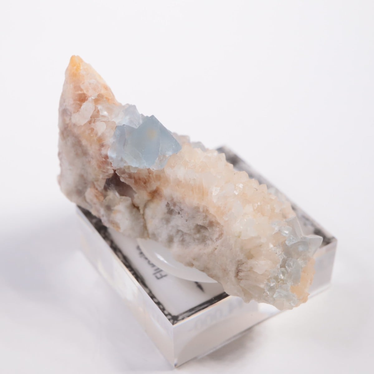 �ӥ󥬥໺ �ե����饤��