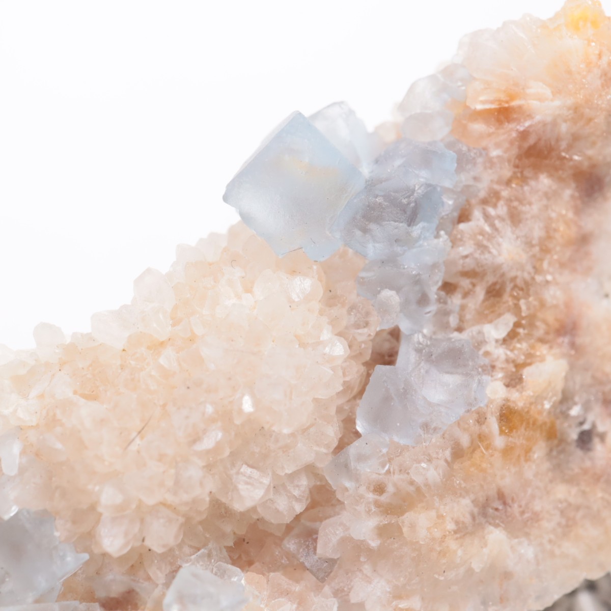 �ӥ󥬥໺ �ե����饤��