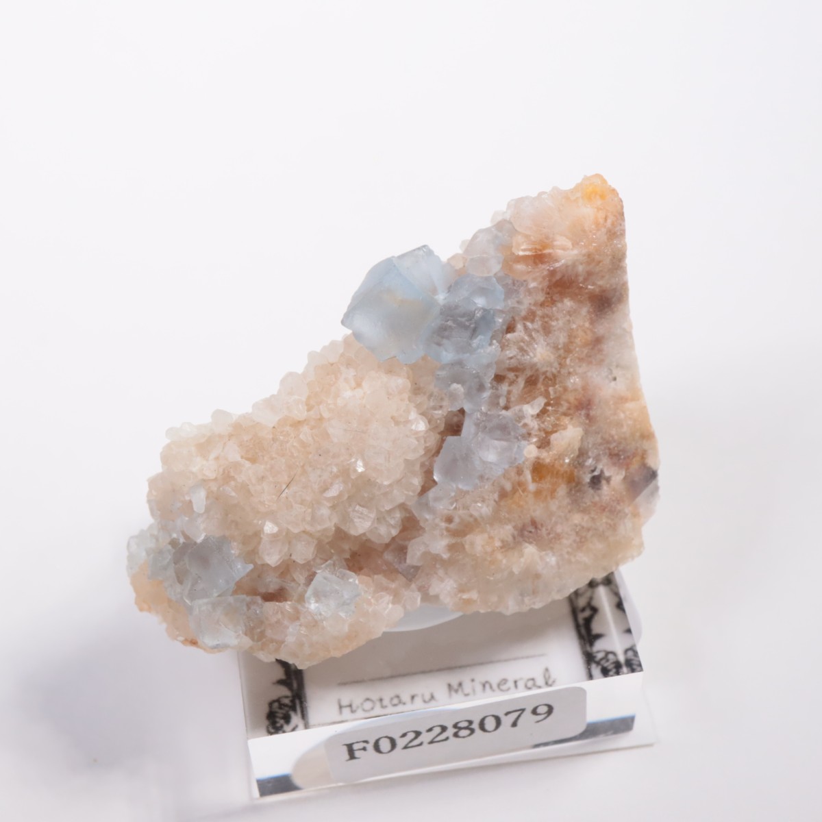 �ӥ󥬥໺ �ե����饤��