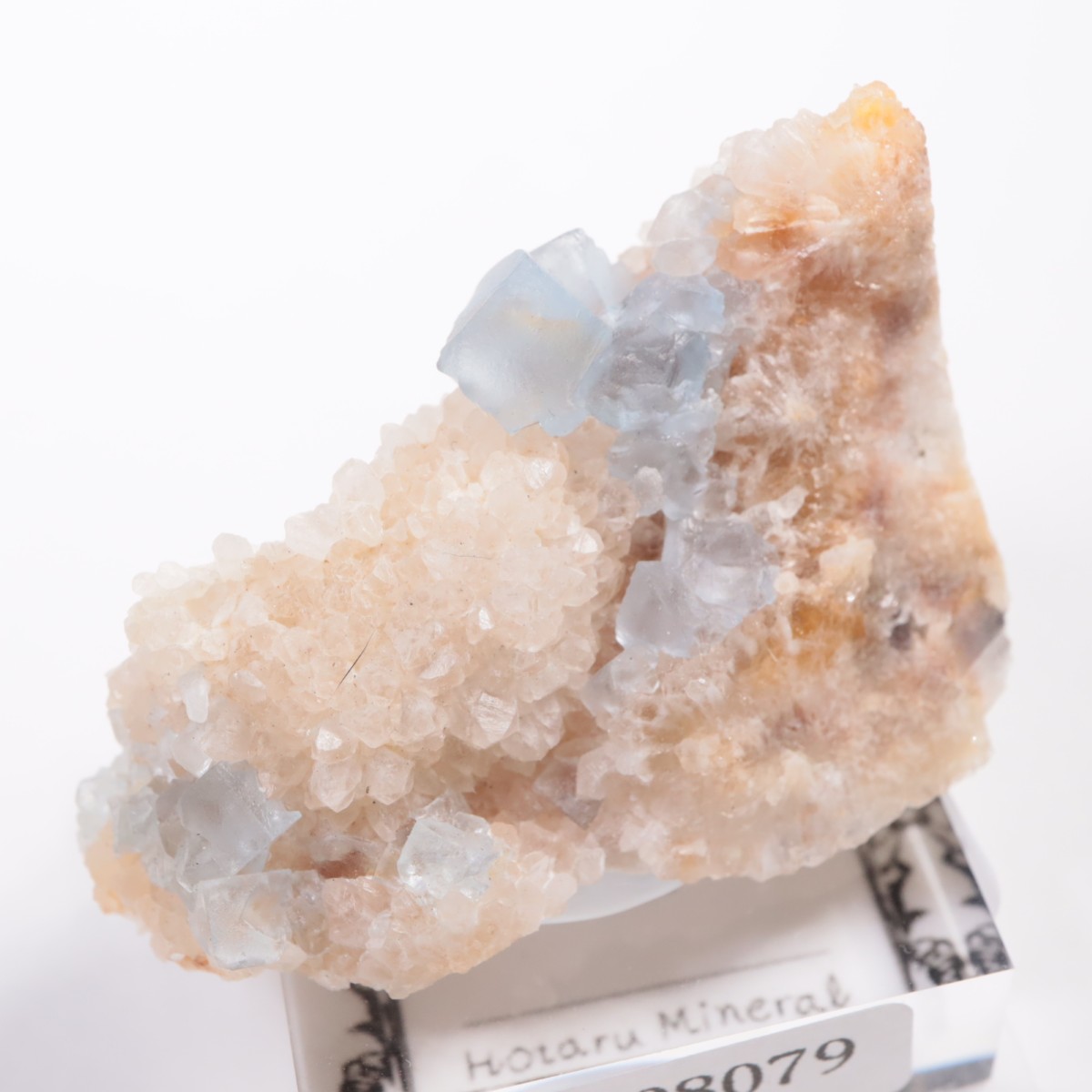 �ӥ󥬥໺ �ե����饤��