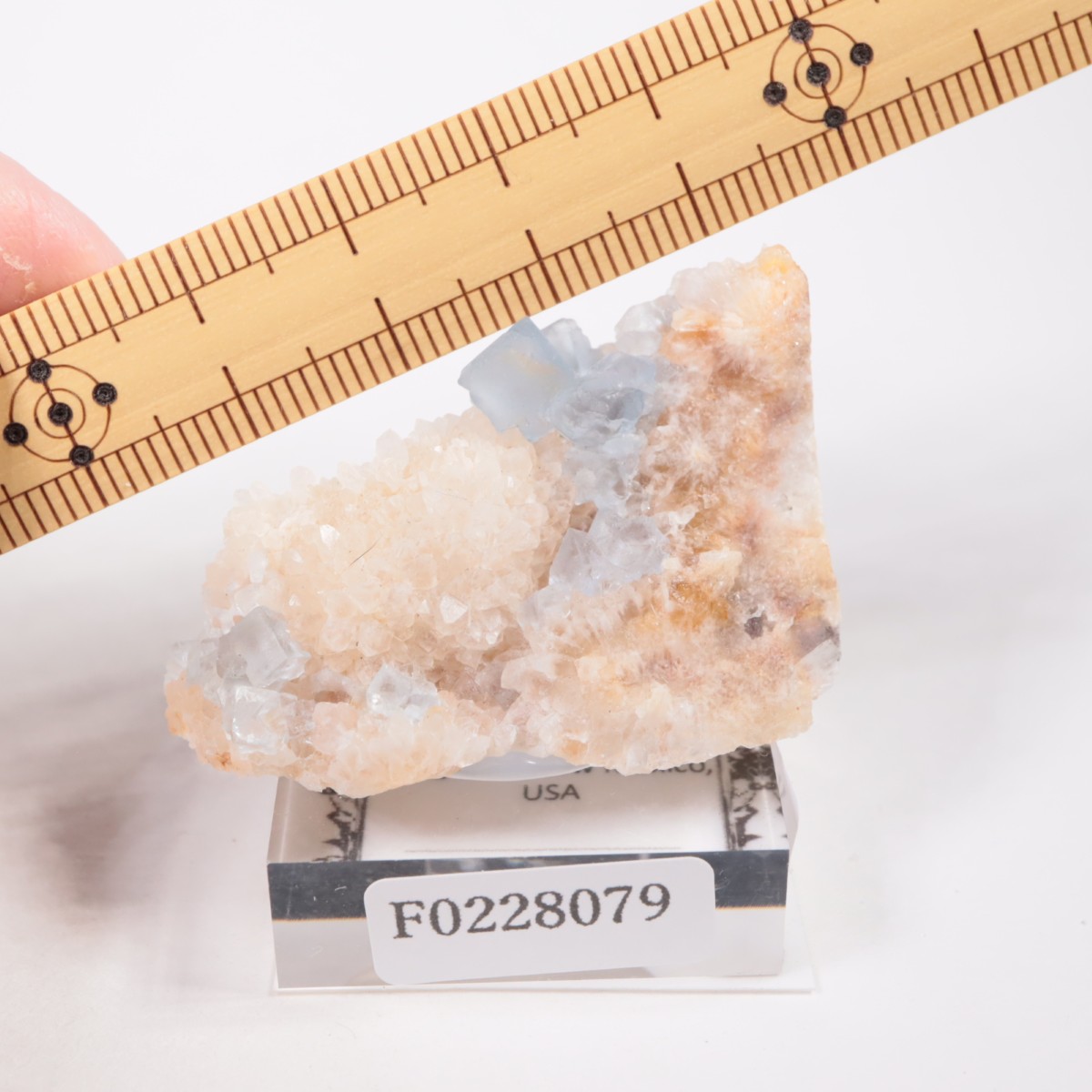 �ӥ󥬥໺ �ե����饤��