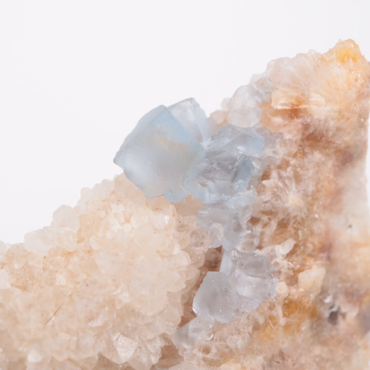 �ӥ󥬥໺ �ե����饤��