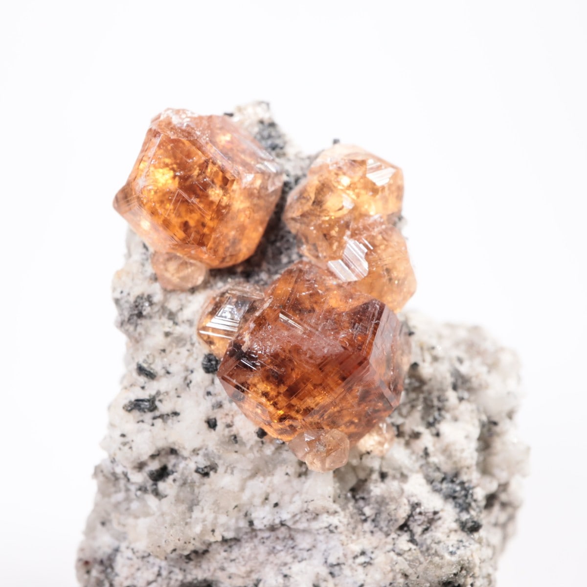 �����ե꡼�ۻ��� ��������顼�����ͥå�