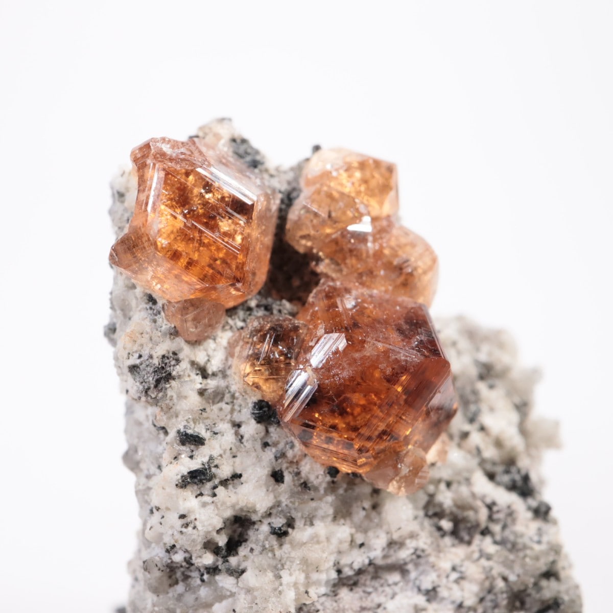 �����ե꡼�ۻ��� ��������顼�����ͥå�