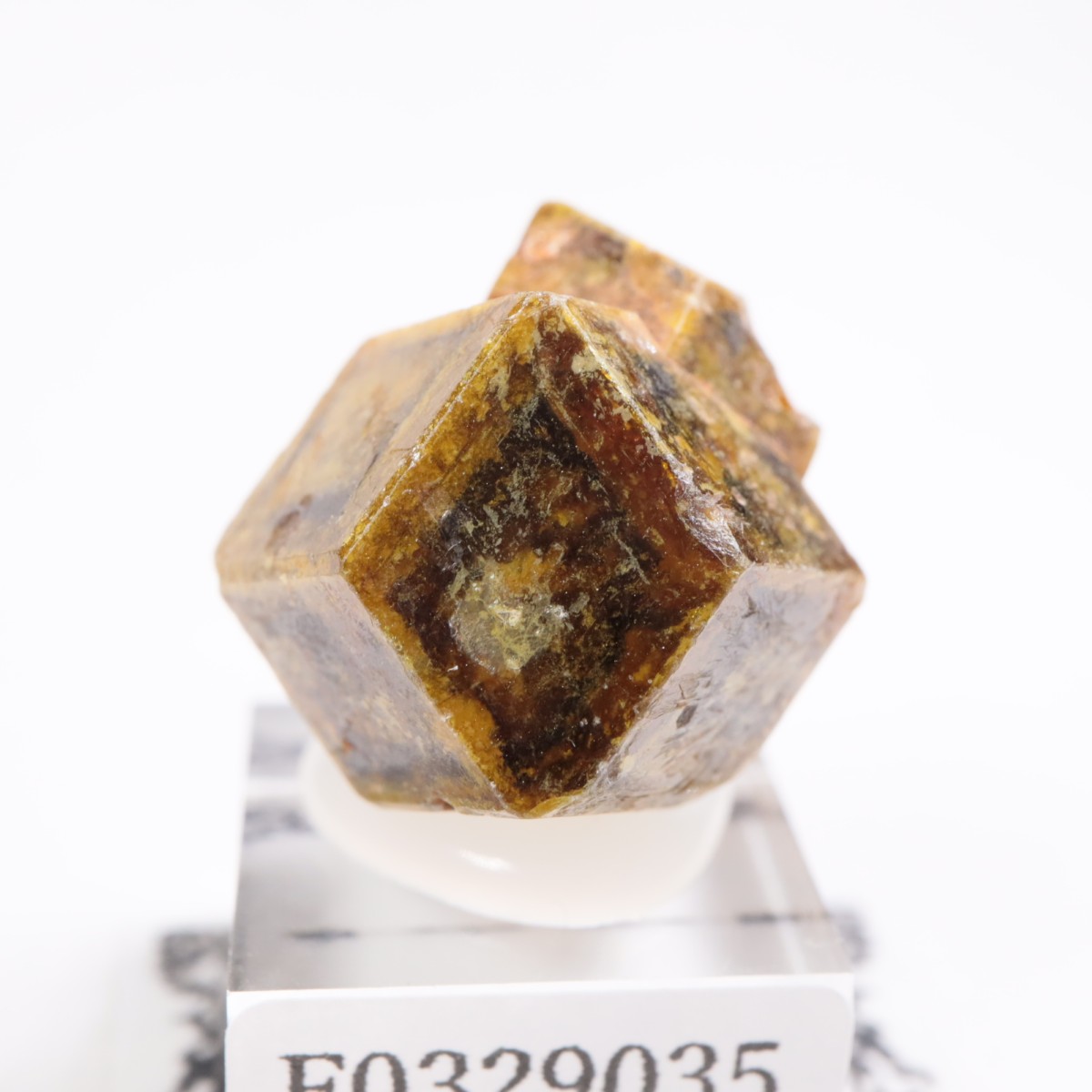 �ޥ껺 �����ͥå�