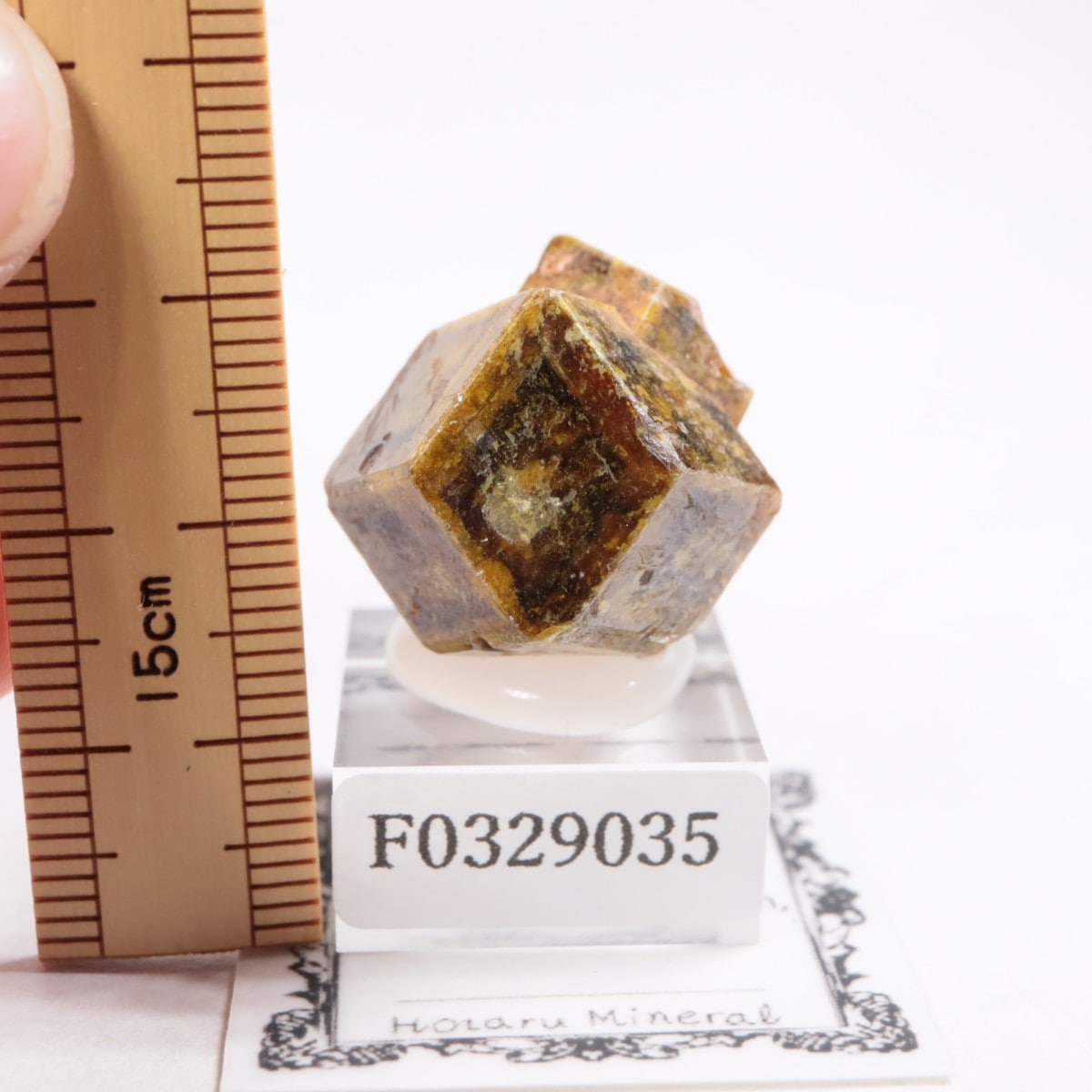 �ޥ껺 �����ͥå�