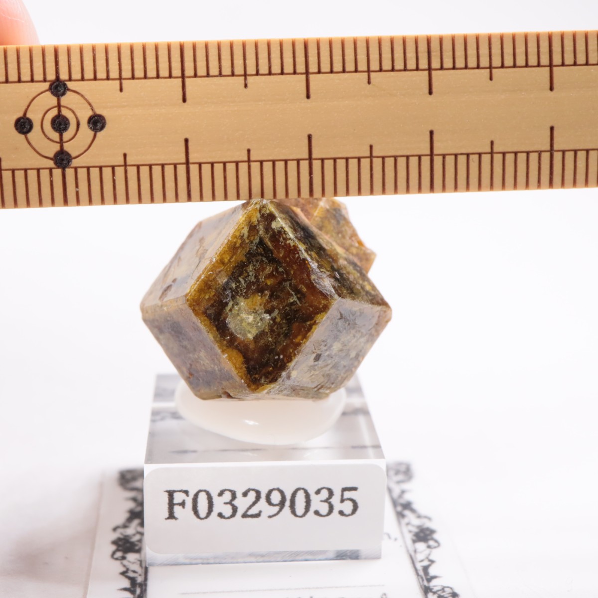 �ޥ껺 �����ͥå�